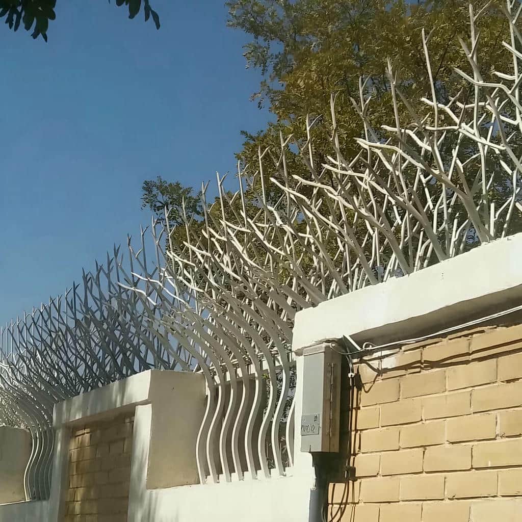 خرید حفاظ شاخ گوزنی تراکم بالا در فردیس کرج