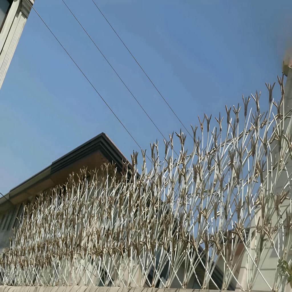 خرید حفاظ شاخ گوزنی تراکم بالا در پرند