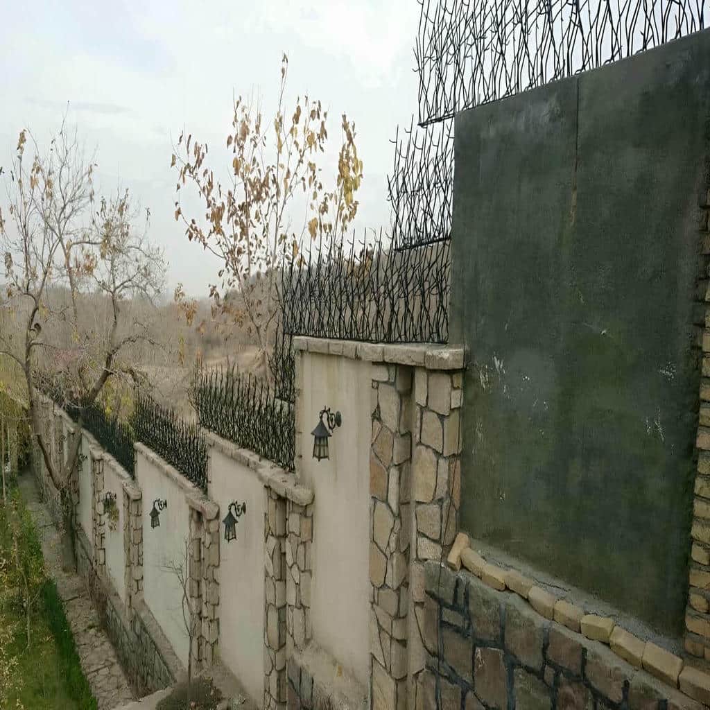 مقایسه حفاظ شاخ گوزنی در گنبدکاووس