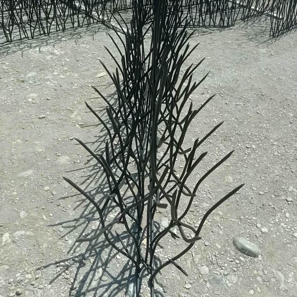 تحلیل حفاظ شاخ گوزنی در سبزوار