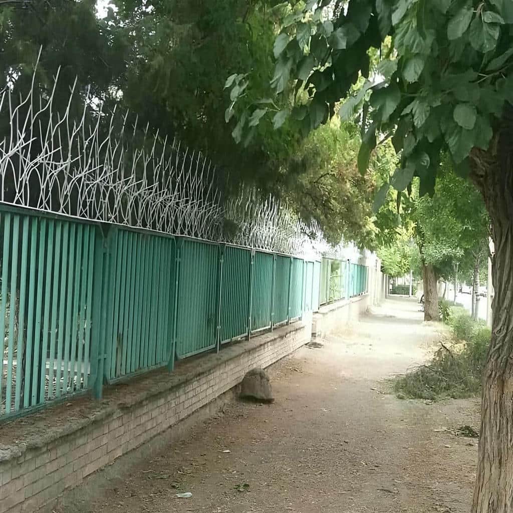 توضیحات حفاظ شاخ گوزنی در یزد