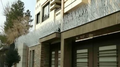 حفاظ شاخ گوزنی در کرمانشاه