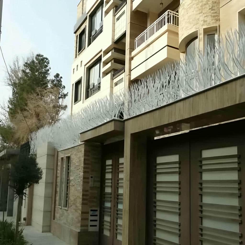 حفاظ شاخ گوزنی در کرمانشاه
