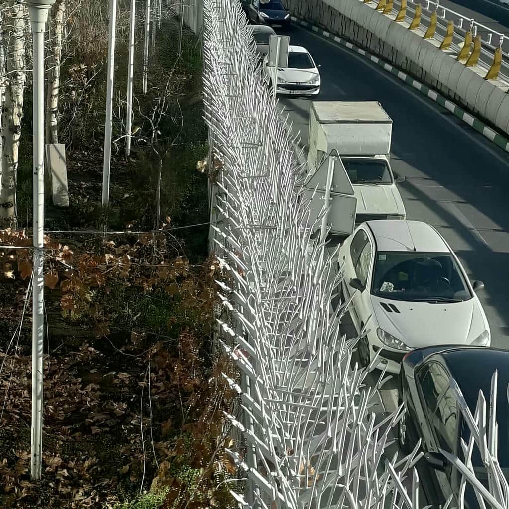 تحلیل حفاظ شاخ گوزنی در رشت
