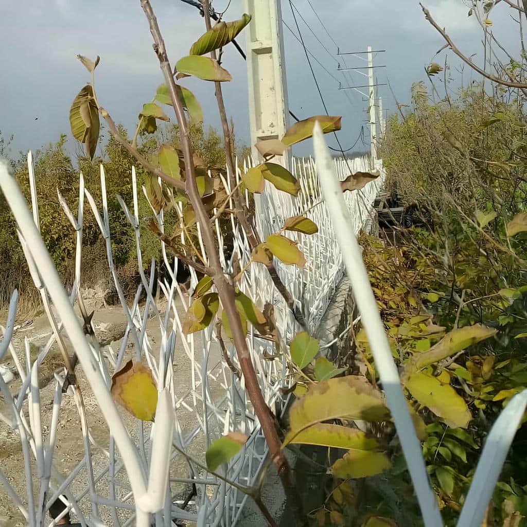 نصب حفاظ شاخ گوزنی کاربری مسکونی در پردیس