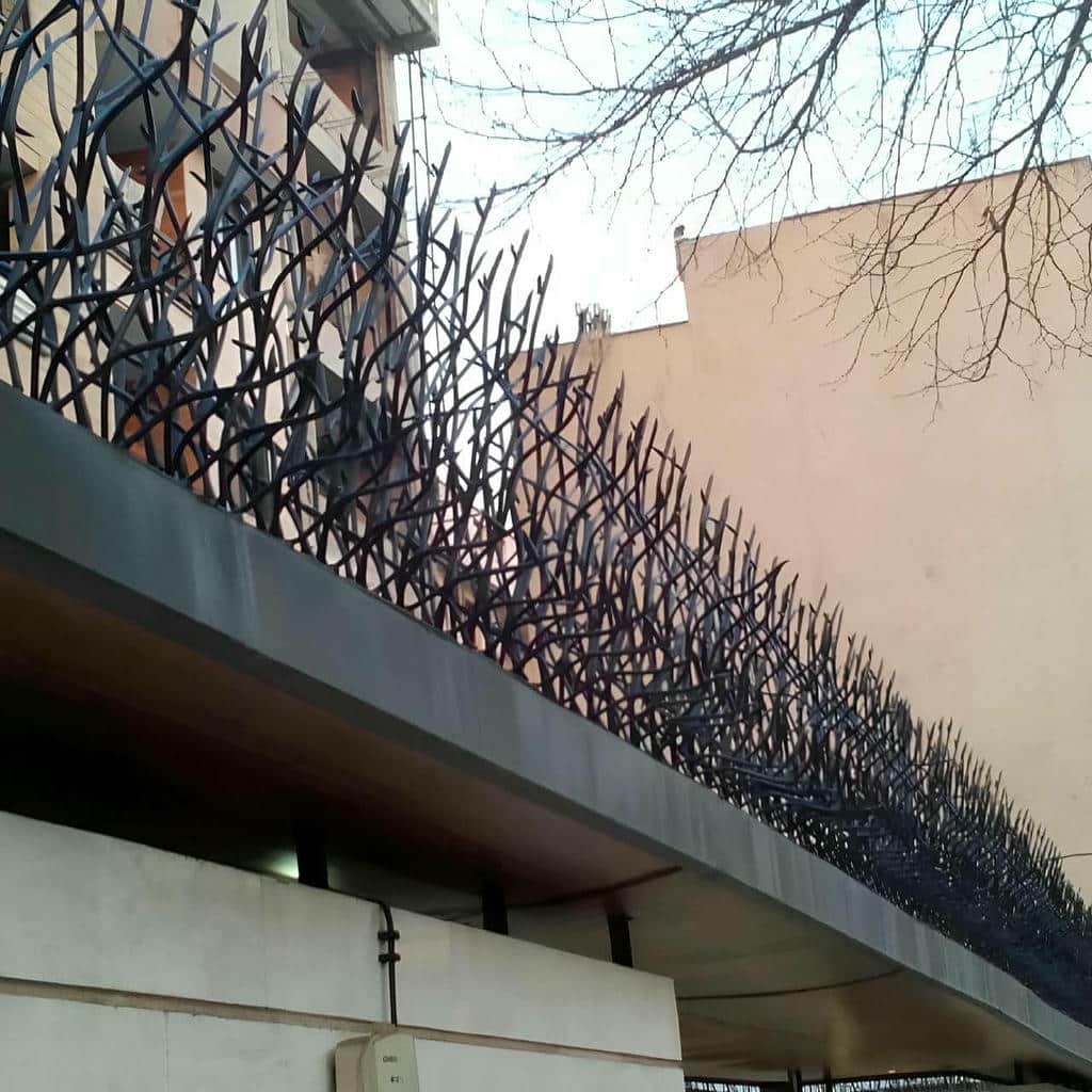مقایسه حفاظ شاخ گوزنی در استان مازندران