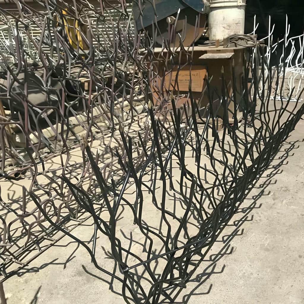 ارزیابی حفاظ شاخ گوزنی در گنبدکاووس