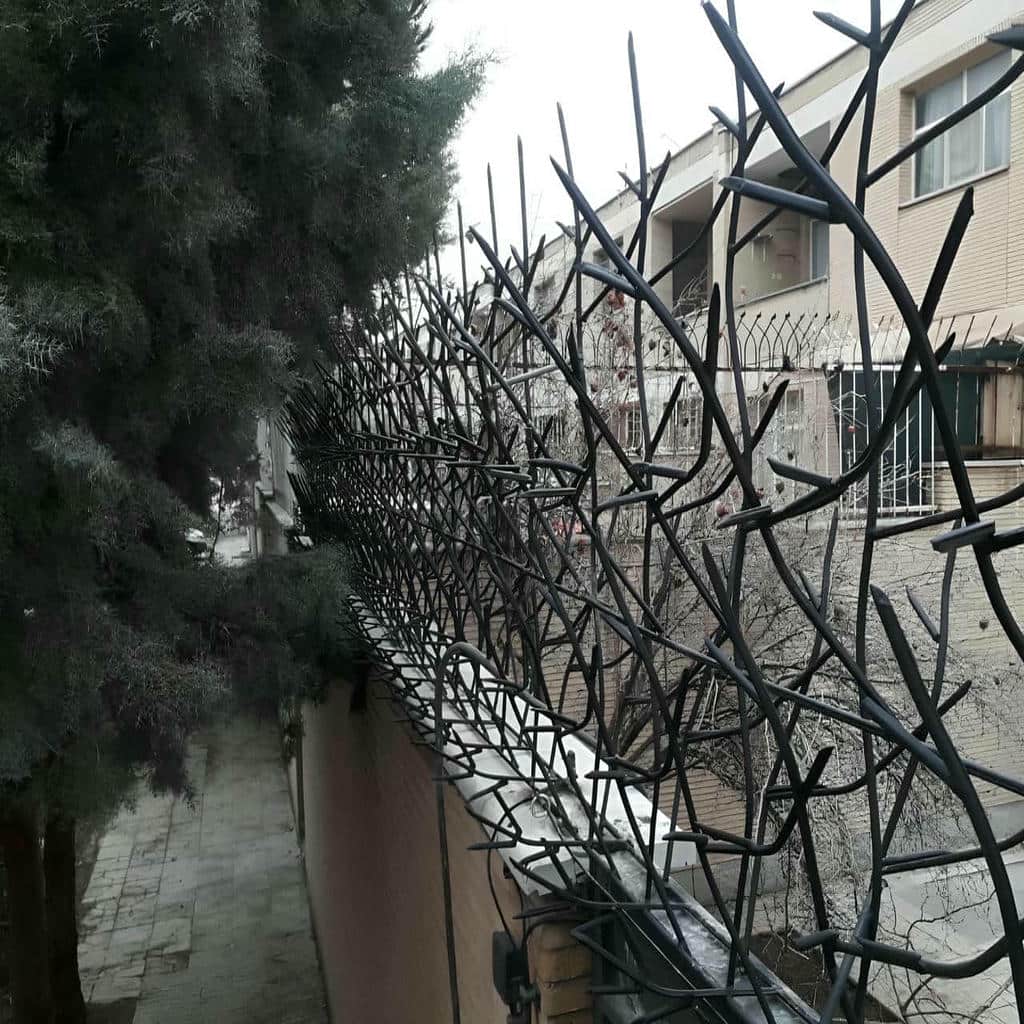 کارخانه حفاظ شاخ گوزنی کاربری ویلایی در بیرجند