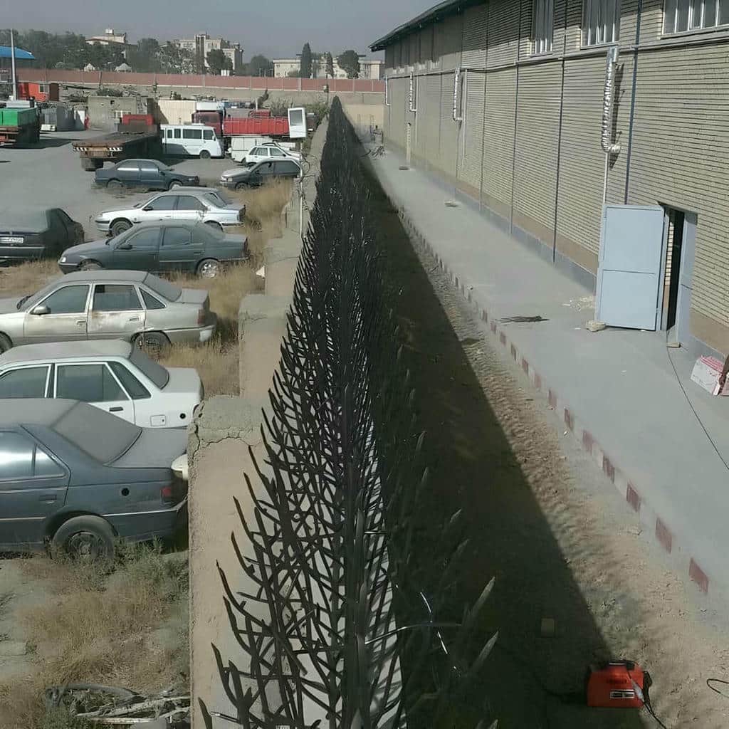 تحلیل حفاظ شاخ گوزنی در اردبیل تحلیل حفاظ شاخ گوزنی در اردبیل