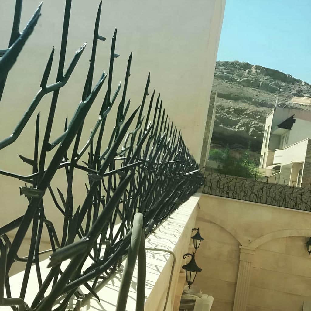 خرید حفاظ شاخ گوزنی پوشش ضدزنگ در عظیمیه کرج