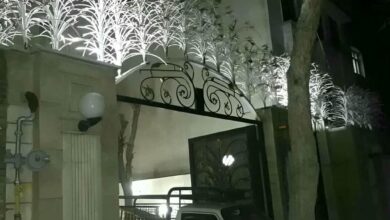 حفاظ شاخ گوزنی در استان مازندران