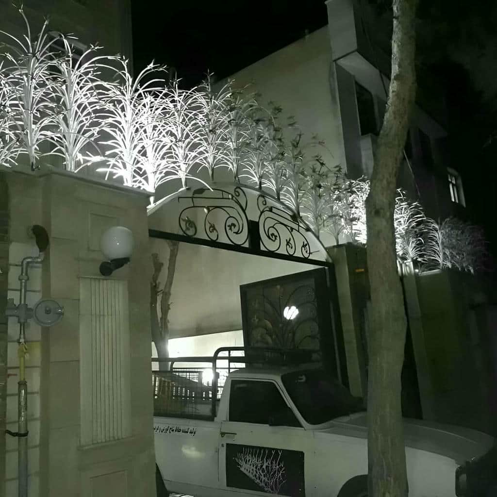 حفاظ شاخ گوزنی در استان مازندران
