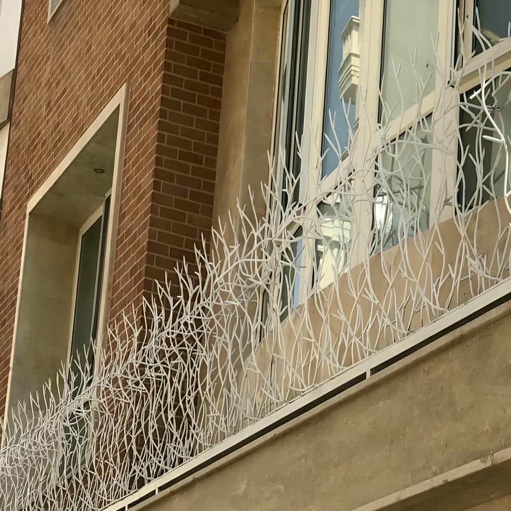 مشخصات حفاظ شاخ گوزنی در چالوس