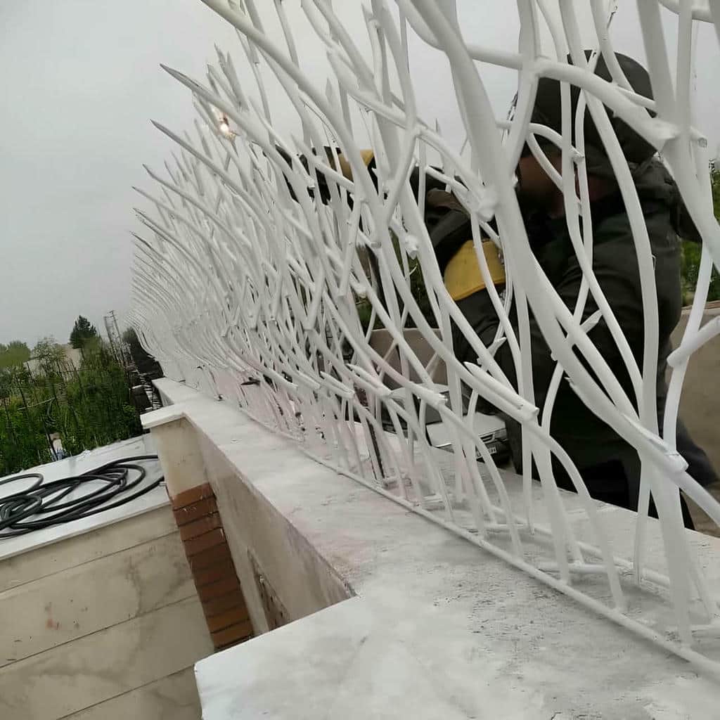ارزیابی حفاظ شاخ گوزنی در اردبیل ارزیابی حفاظ شاخ گوزنی در اردبیل