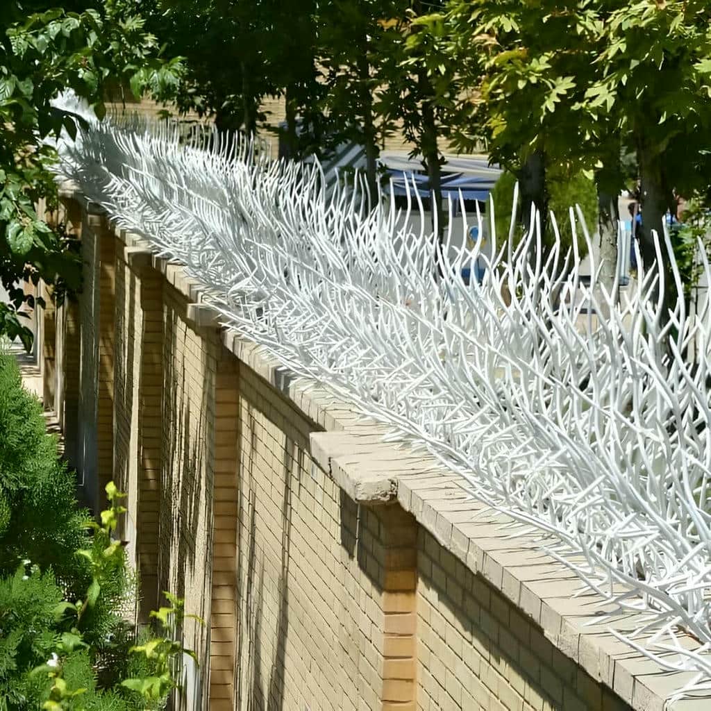 مشخصات حفاظ شاخ گوزنی در گنبدکاووس