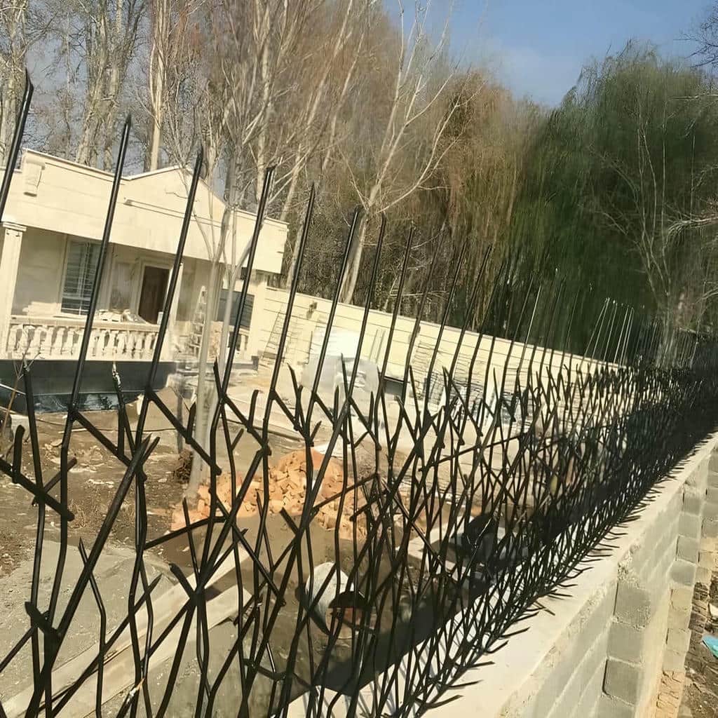 مقایسه حفاظ شاخ گوزنی در همدان