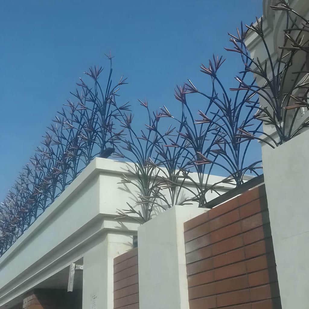 ارزیابی حفاظ شاخ گوزنی در یزد