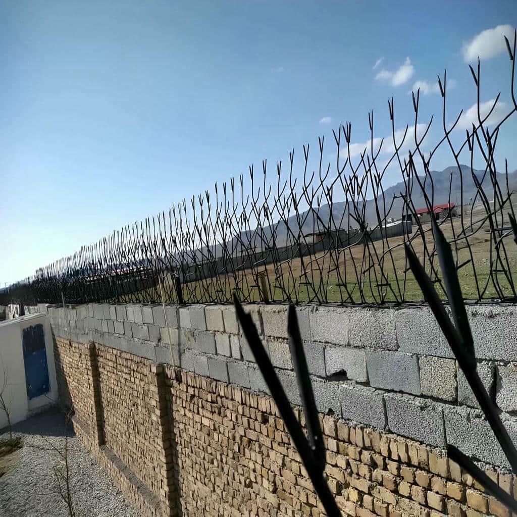 مقایسه حفاظ شاخ گوزنی در سبزوار