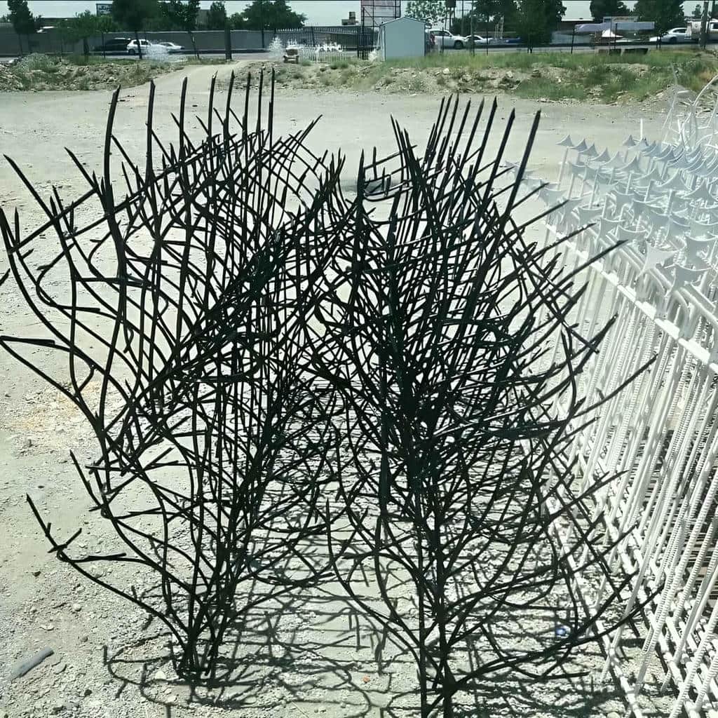 حفاظ شاخ گوزنی در شهریار