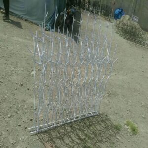 حفاظ شاخ گوزنی در طالقان