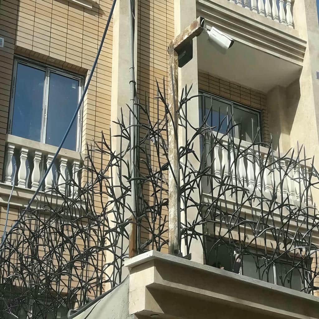 معرفی حفاظ شاخ گوزنی در بندر دیلم