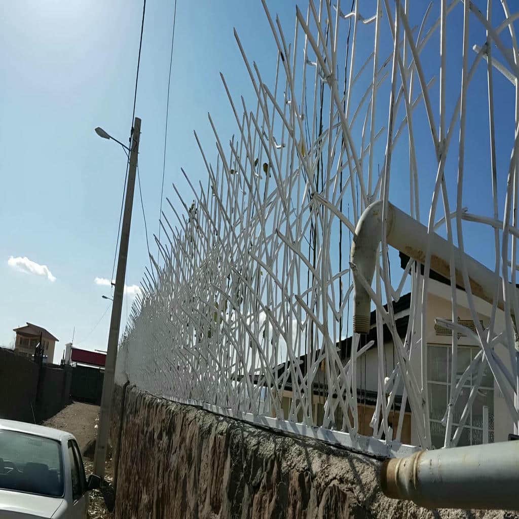 مشخصات حفاظ شاخ گوزنی در اهواز