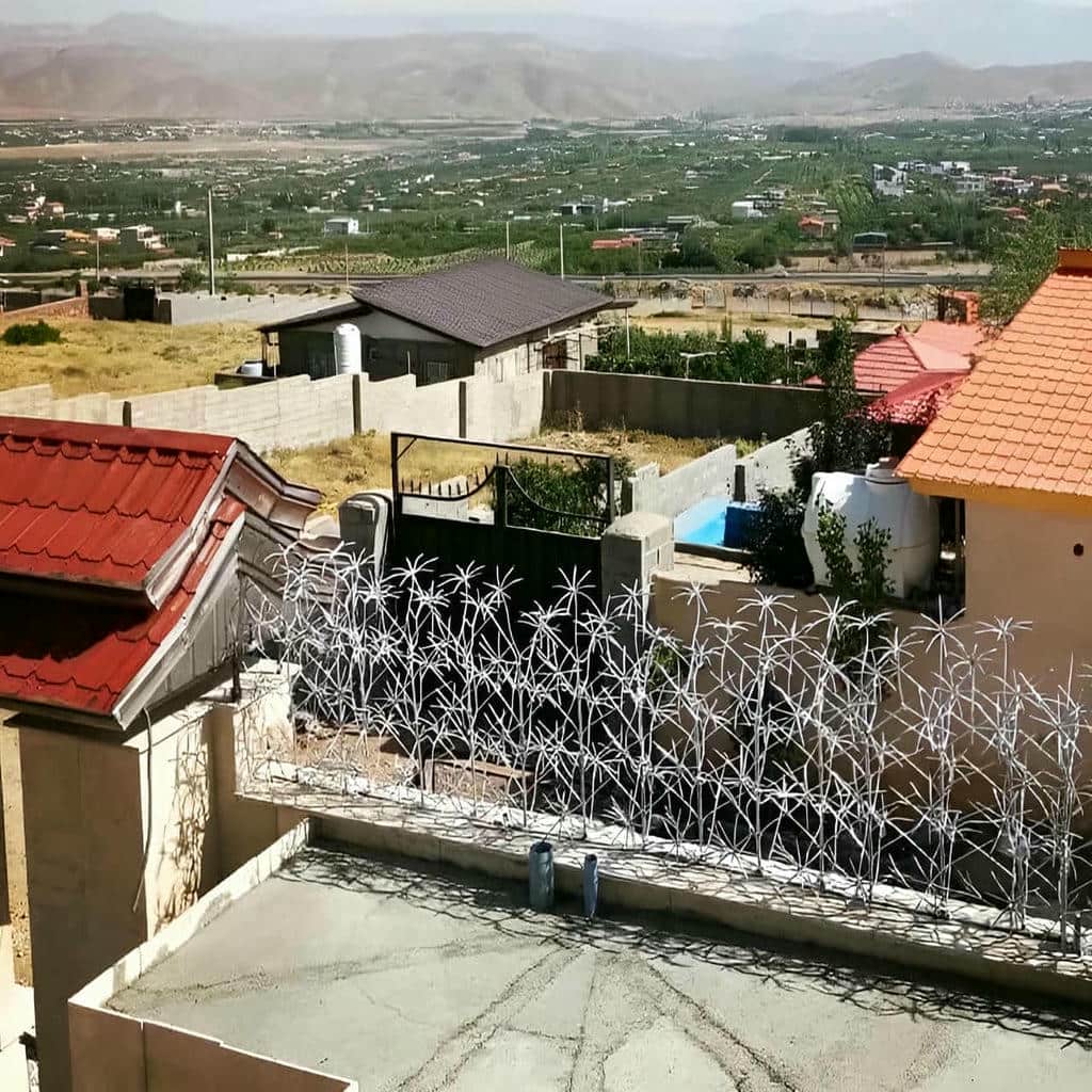 معرفی حفاظ شاخ گوزنی در ایرانشهر