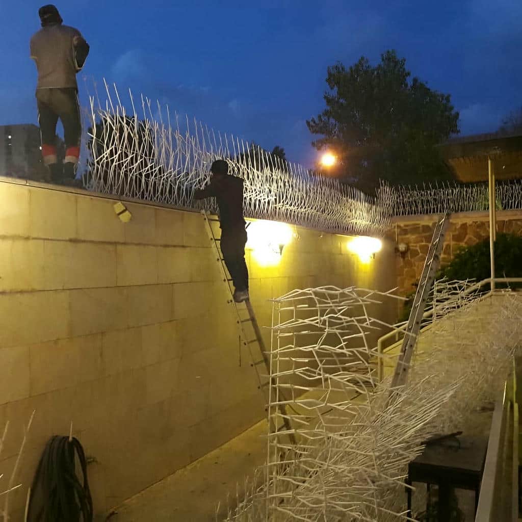 خرید حفاظ شاخ گوزنی تراکم بالا در رفسنجان