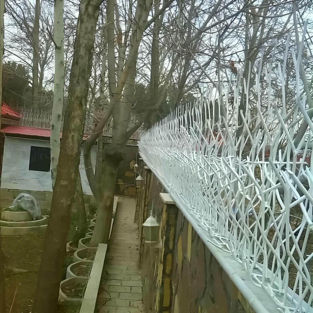 کارخانه حفاظ شاخ گوزنی کاربری مسکونی در قائمشهر