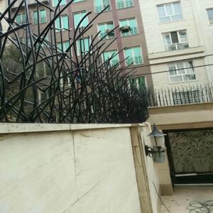 حفاظ شاخ گوزنی در محمدشهر