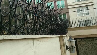 حفاظ شاخ گوزنی در محمدشهر