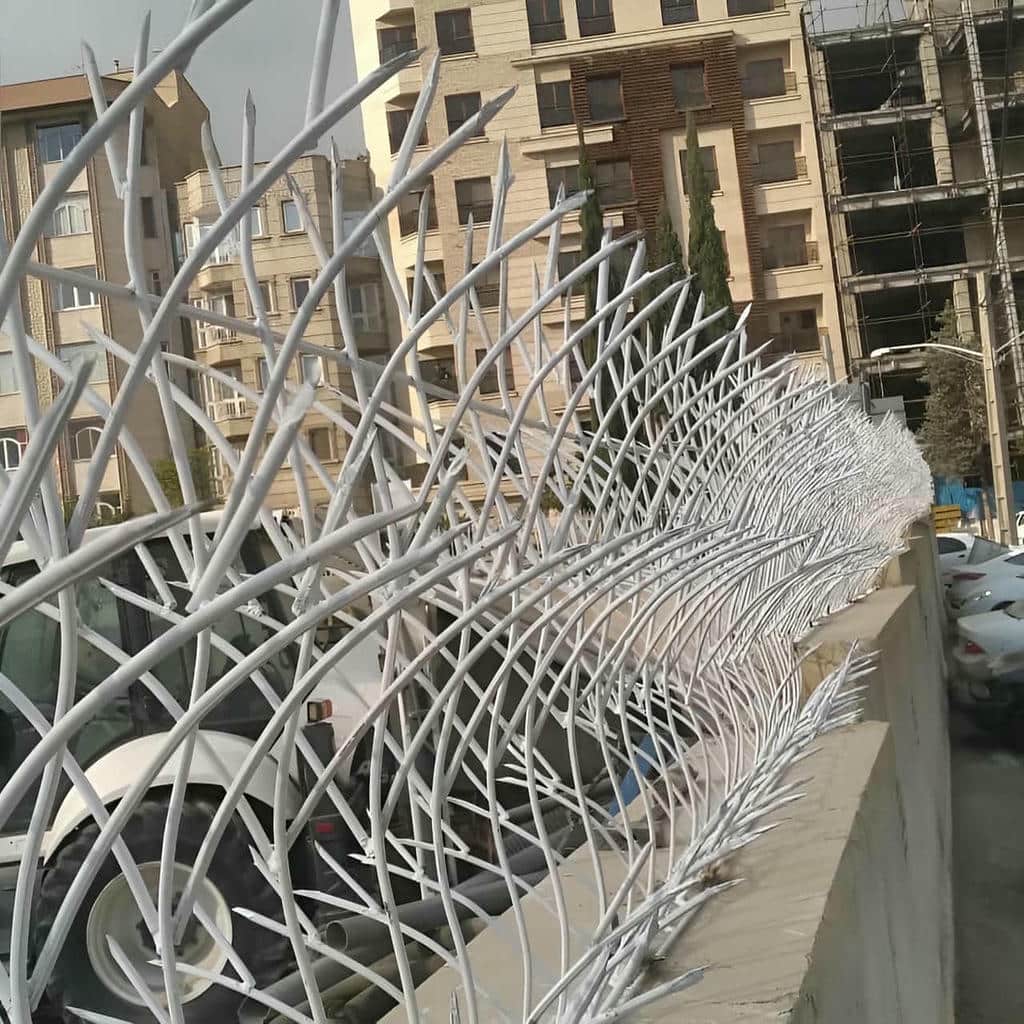 توضیحات حفاظ شاخ گوزنی در سبزوار