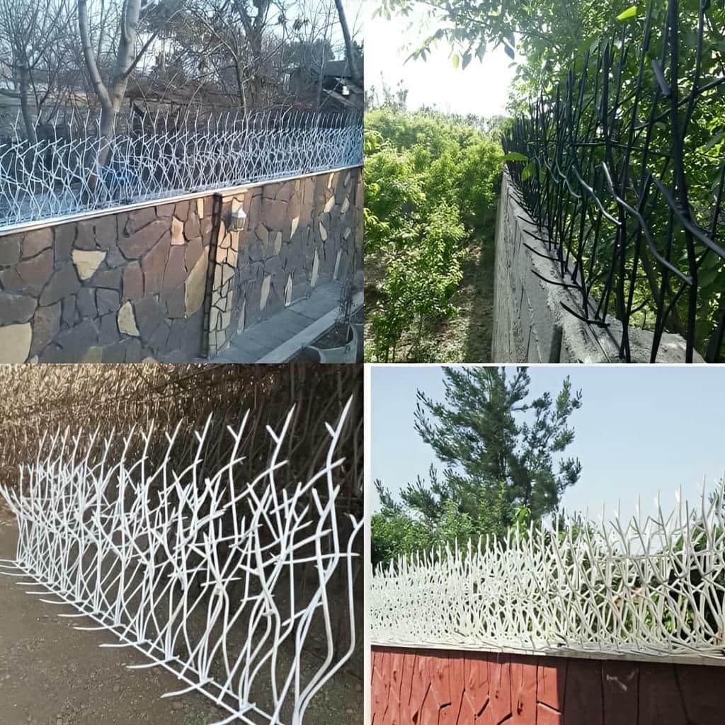 کارخانه حفاظ شاخ گوزنی کاربری مسکونی در آمل