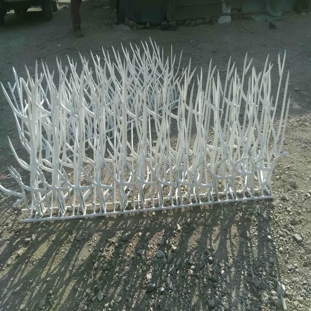 ارزیابی حفاظ شاخ گوزنی در ساری