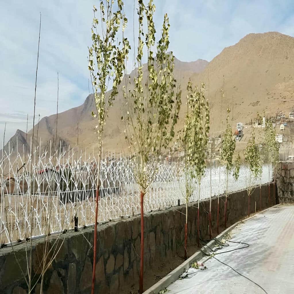 نصب حفاظ شاخ گوزنی پوشش ضدزنگ در کرج