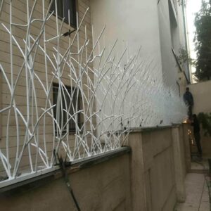 حفاظ شاخ گوزنی در نظرآباد