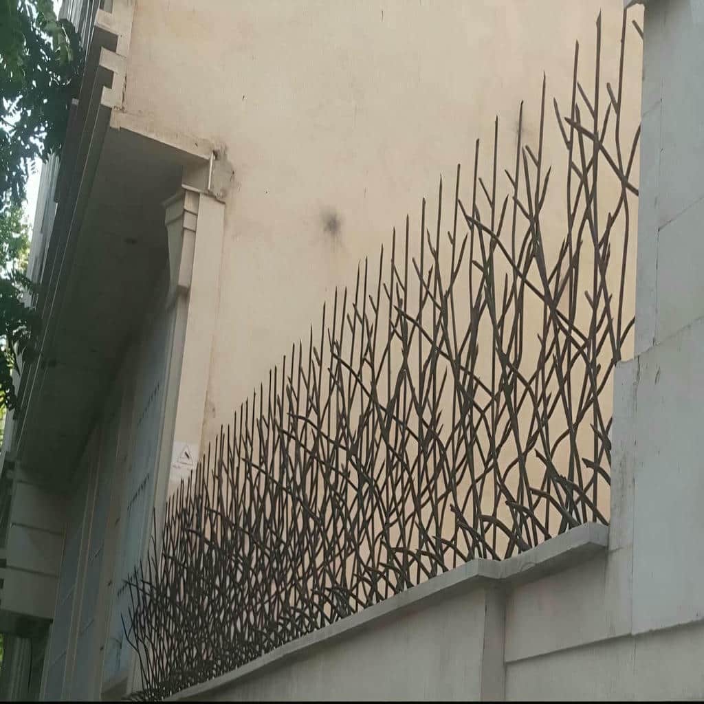 جزئیات حفاظ شاخ گوزنی در اراک