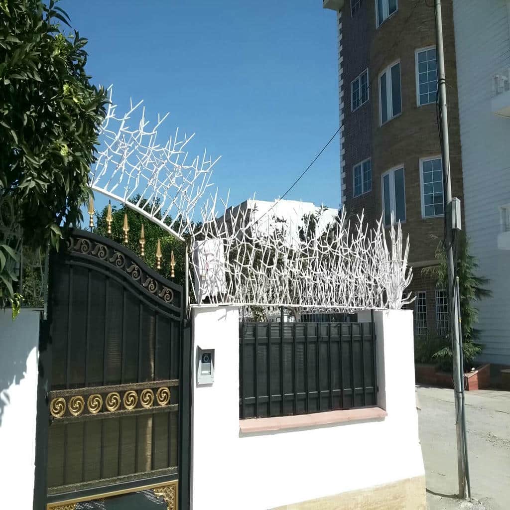 قیمت حفاظ شاخ گوزنی تراکم متعادل در کرج
