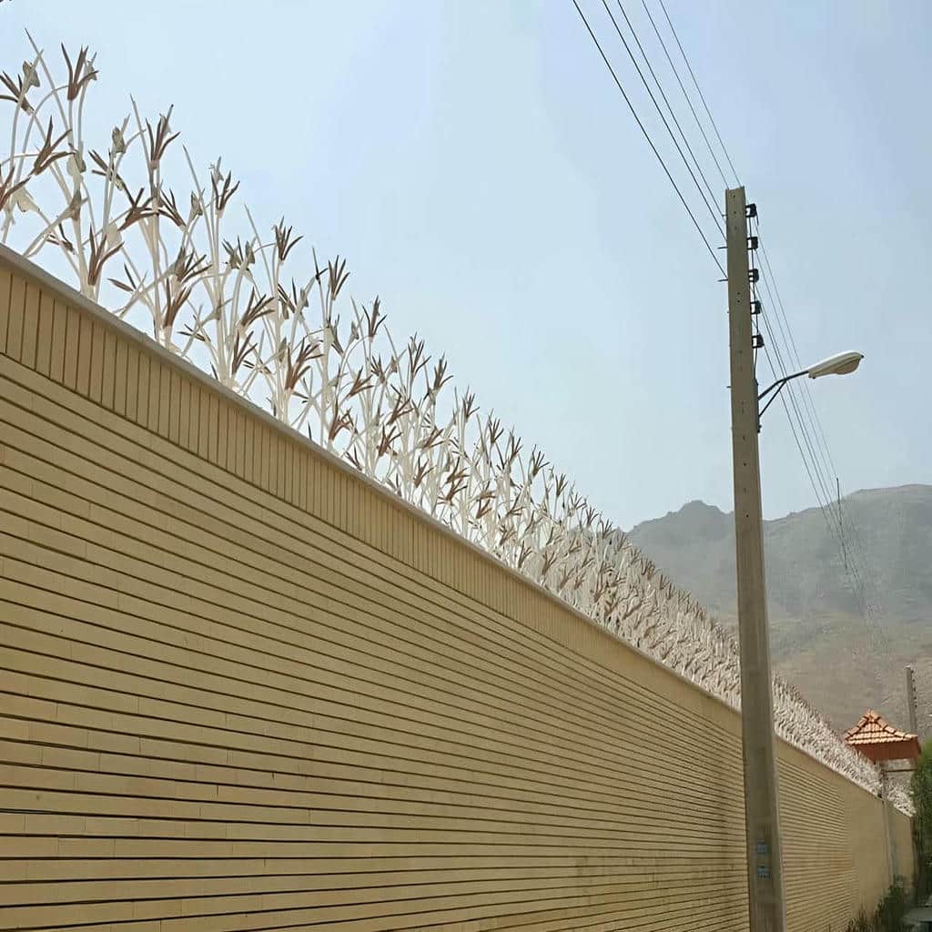 حفاظ شاخ گوزنی در همدان