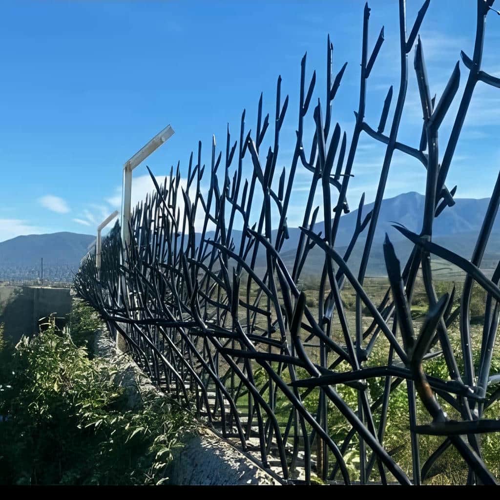 معرفی حفاظ شاخ گوزنی در استان خوزستان