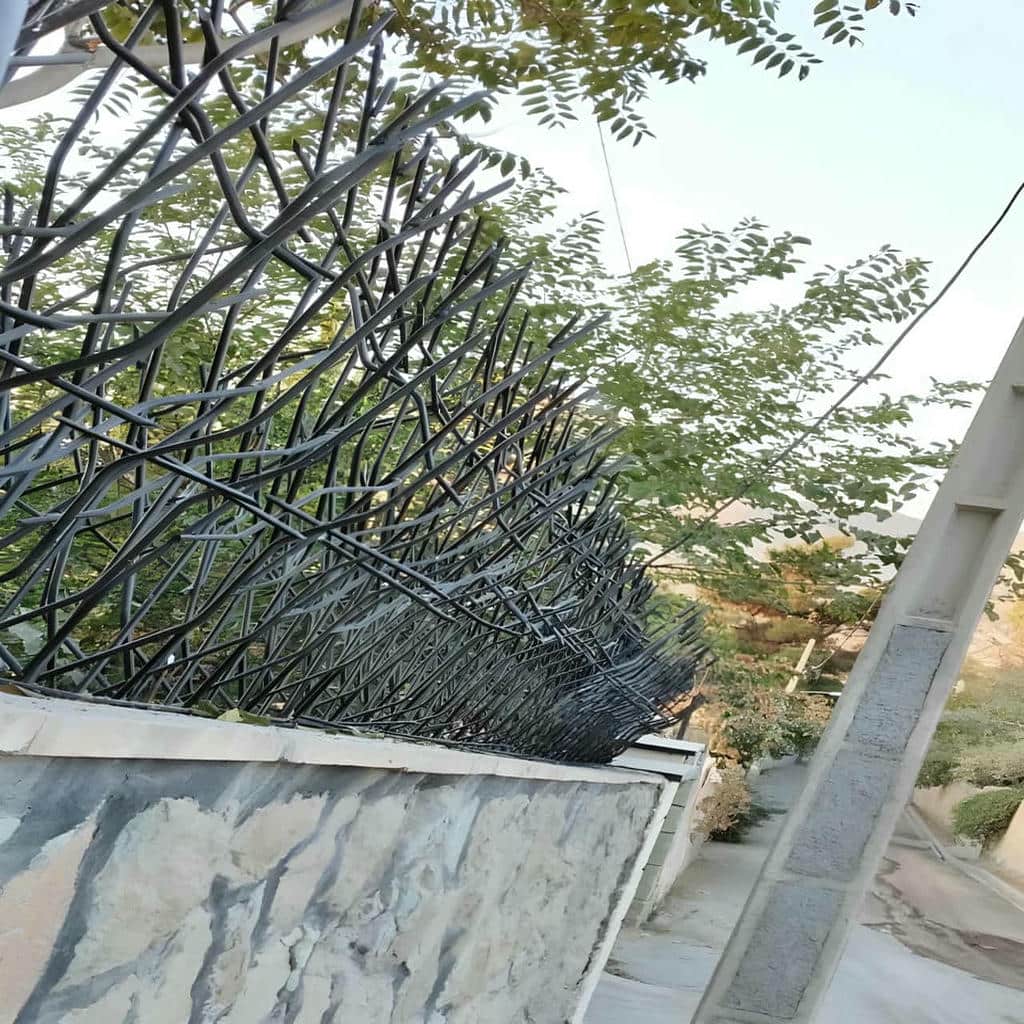 کارخانه حفاظ شاخ گوزنی کاربری مسکونی در سنندج