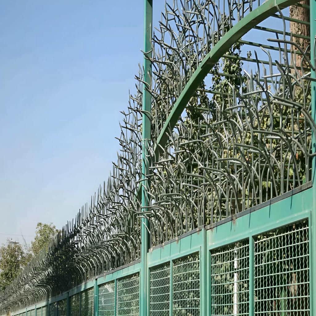 معرفی حفاظ شاخ گوزنی در اهواز