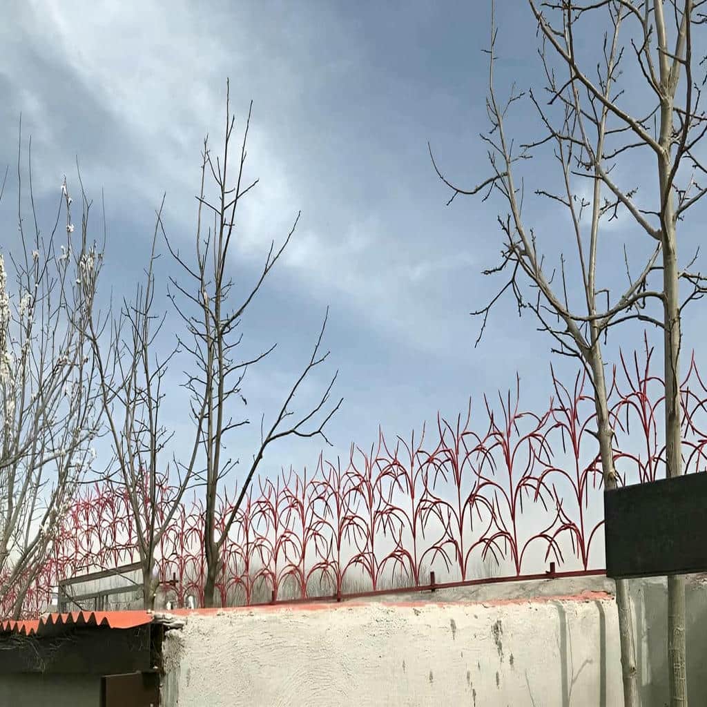 جزئیات حفاظ شاخ گوزنی در ایرانشهر