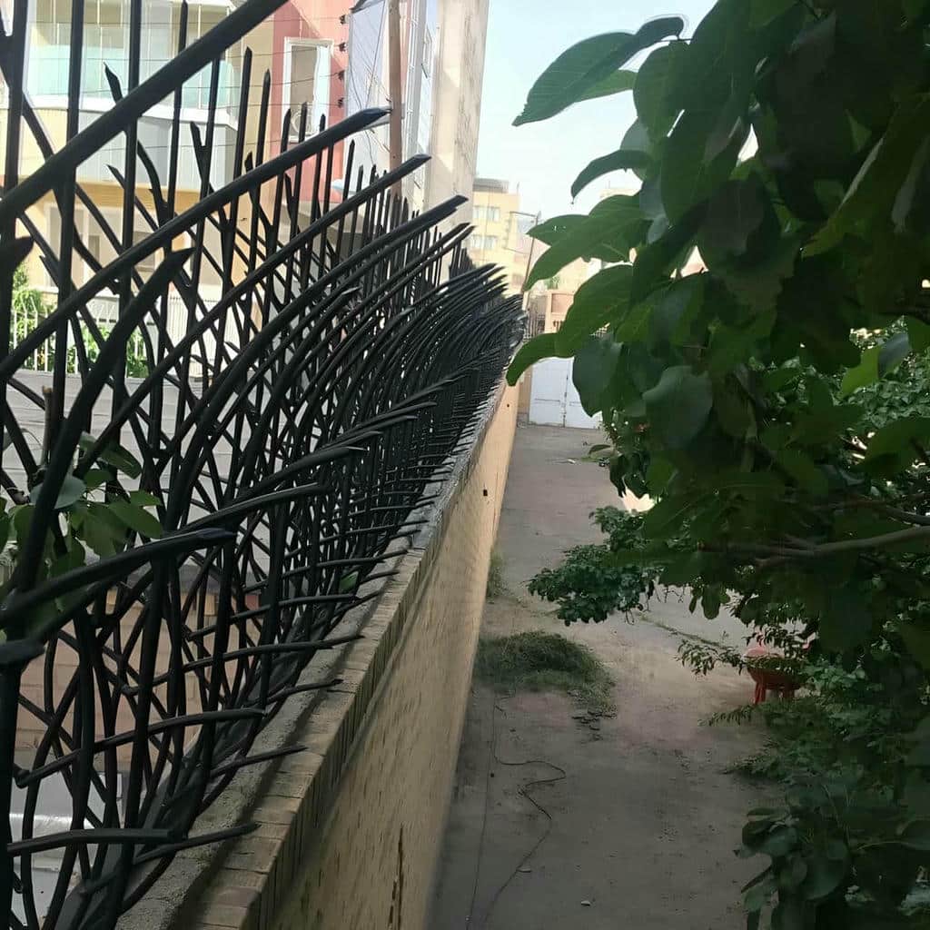 مشخصات حفاظ شاخ گوزنی در استان خوزستان
