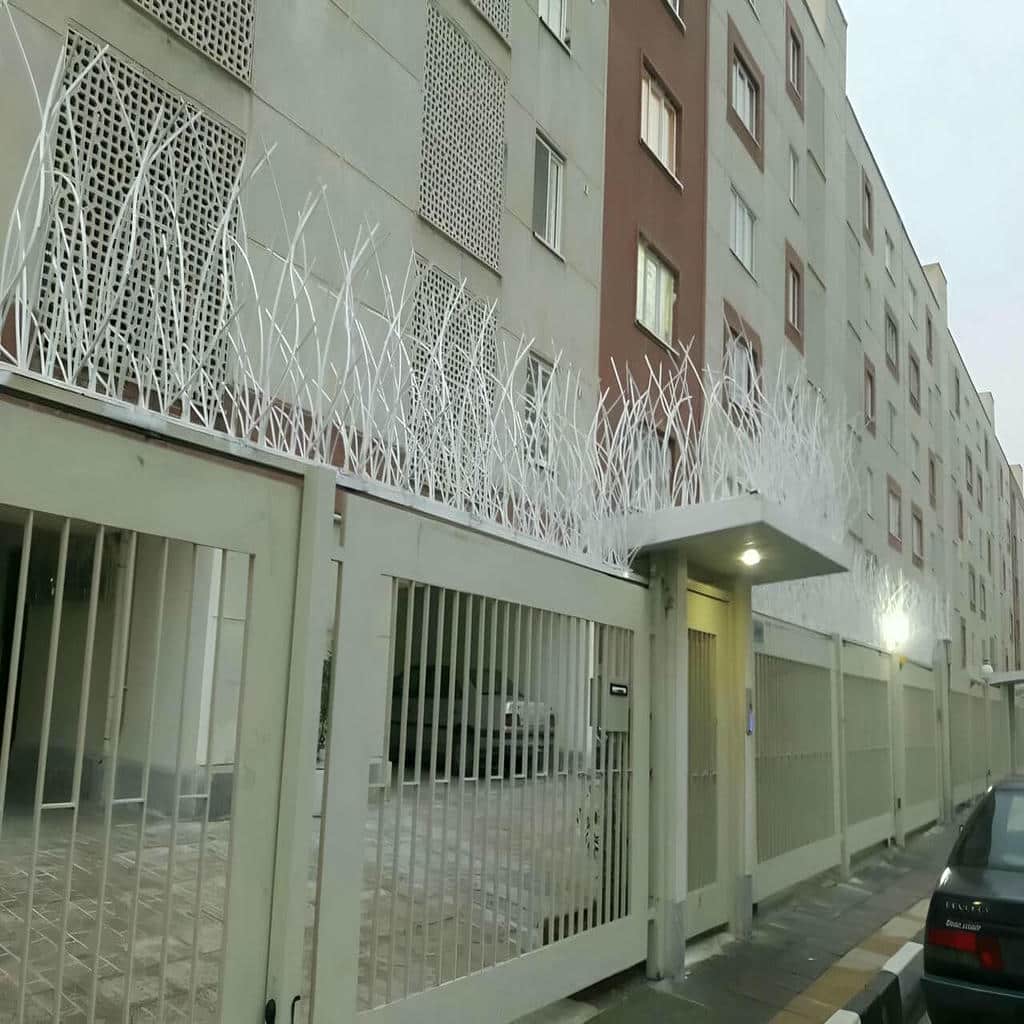 جزئیات حفاظ شاخ گوزنی در استان مازندران