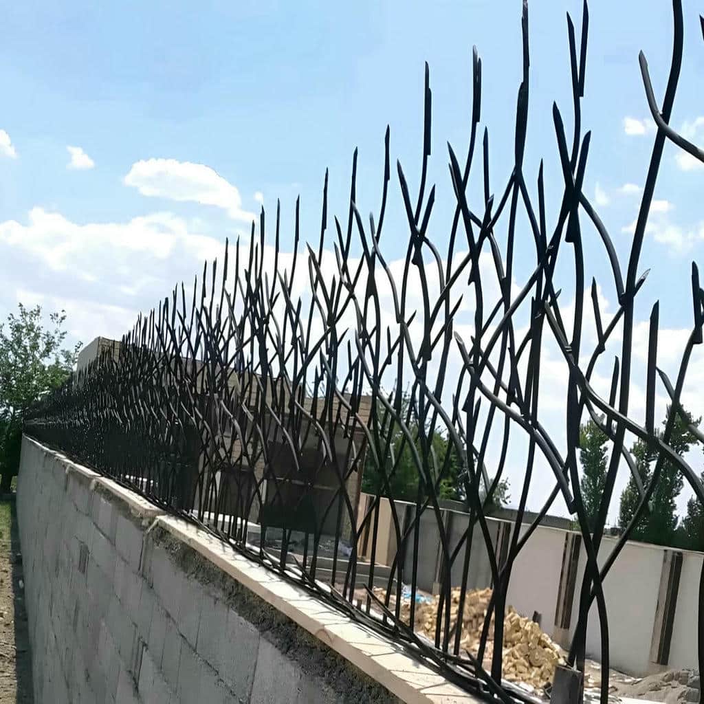 معرفی حفاظ شاخ گوزنی در اردبیل