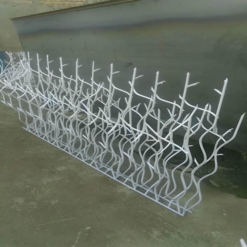 مشخصات حفاظ شاخ گوزنی در ایرانشهر