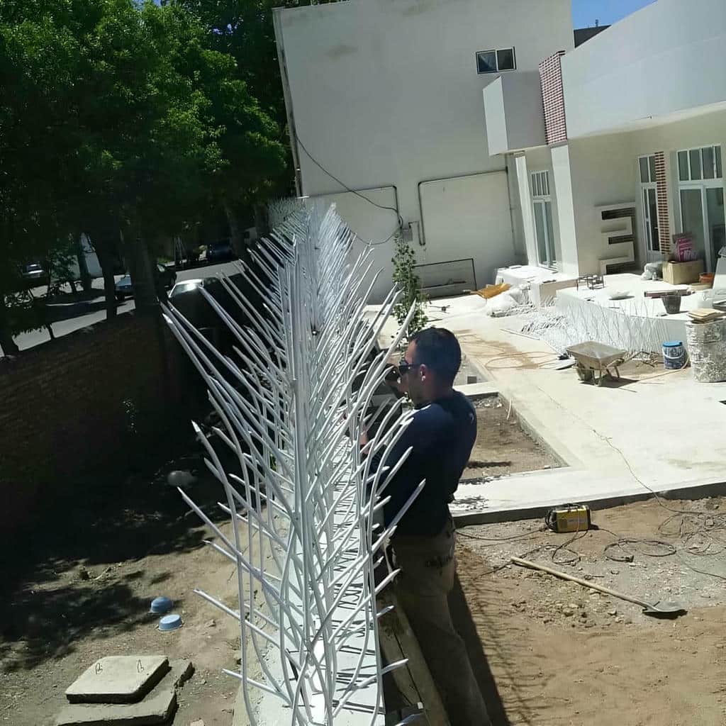 مشخصات حفاظ شاخ گوزنی در رشت