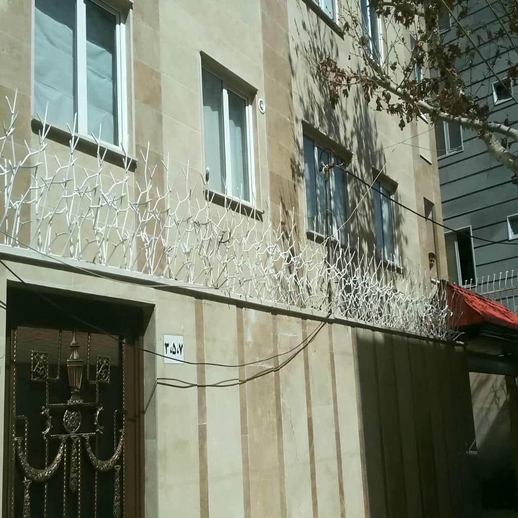 جزئیات حفاظ شاخ گوزنی در کرمان