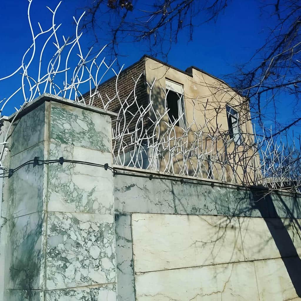 مقایسه حفاظ شاخ گوزنی در نوشهر